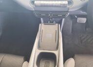 2026 BYD Dolphin Surf Dynamic