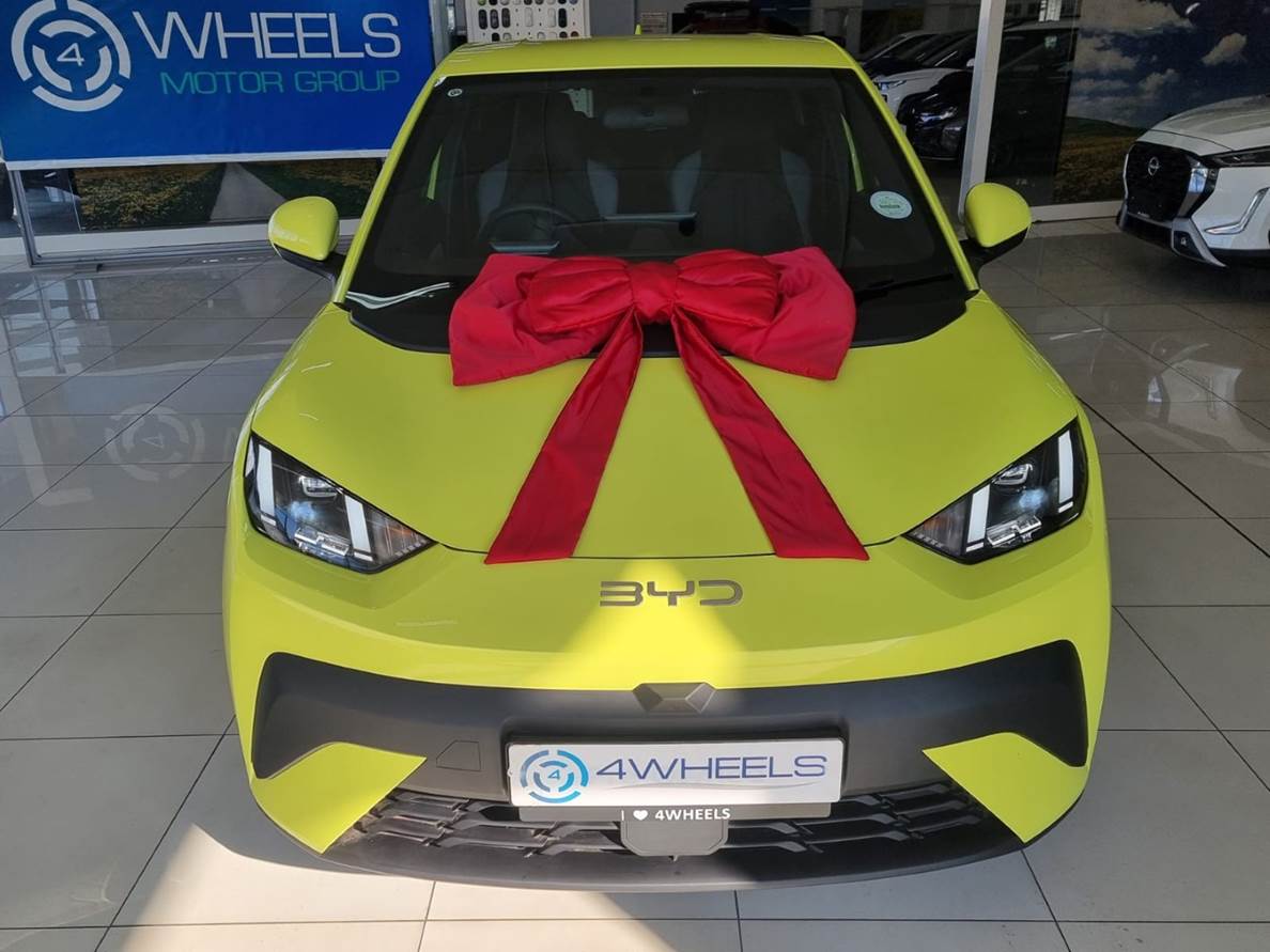 2026 BYD Dolphin Surf Dynamic