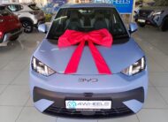 2026 BYD Dolphin Surf Dynamic
