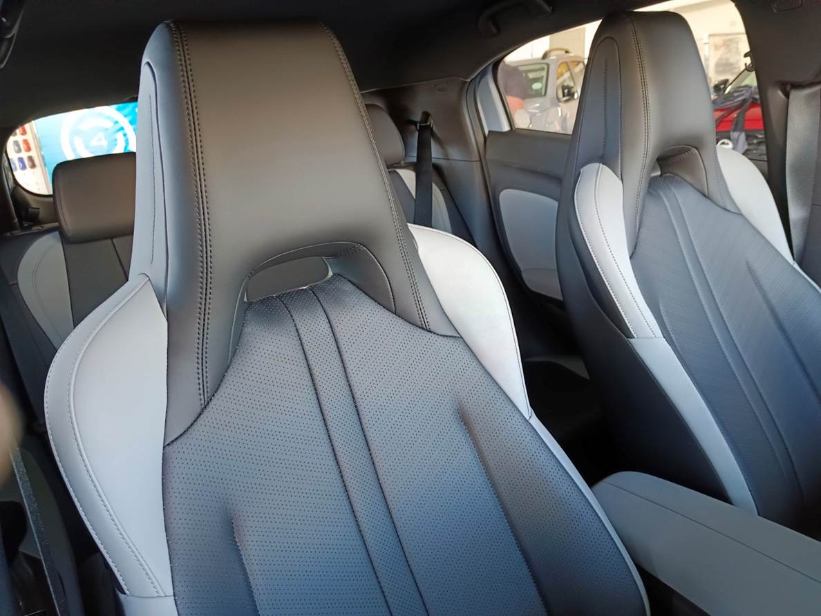 2026 BYD Dolphin Surf Dynamic