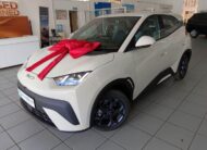 2025 BYD Dolphin Surf Comfort