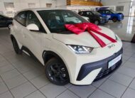 2026 BYD Dolphin Surf Comfort