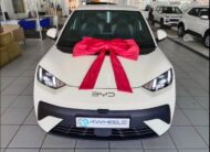 2026 BYD Dolphin Surf Comfort