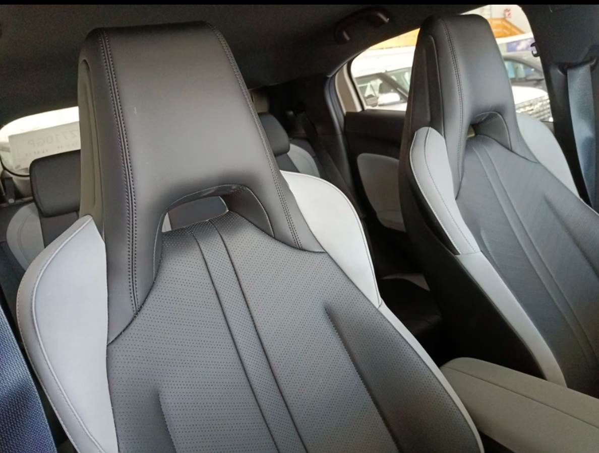2026 BYD Dolphin Surf Comfort