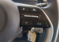 2024 Hyundai Staria 2.2D Executive (9 Seater)