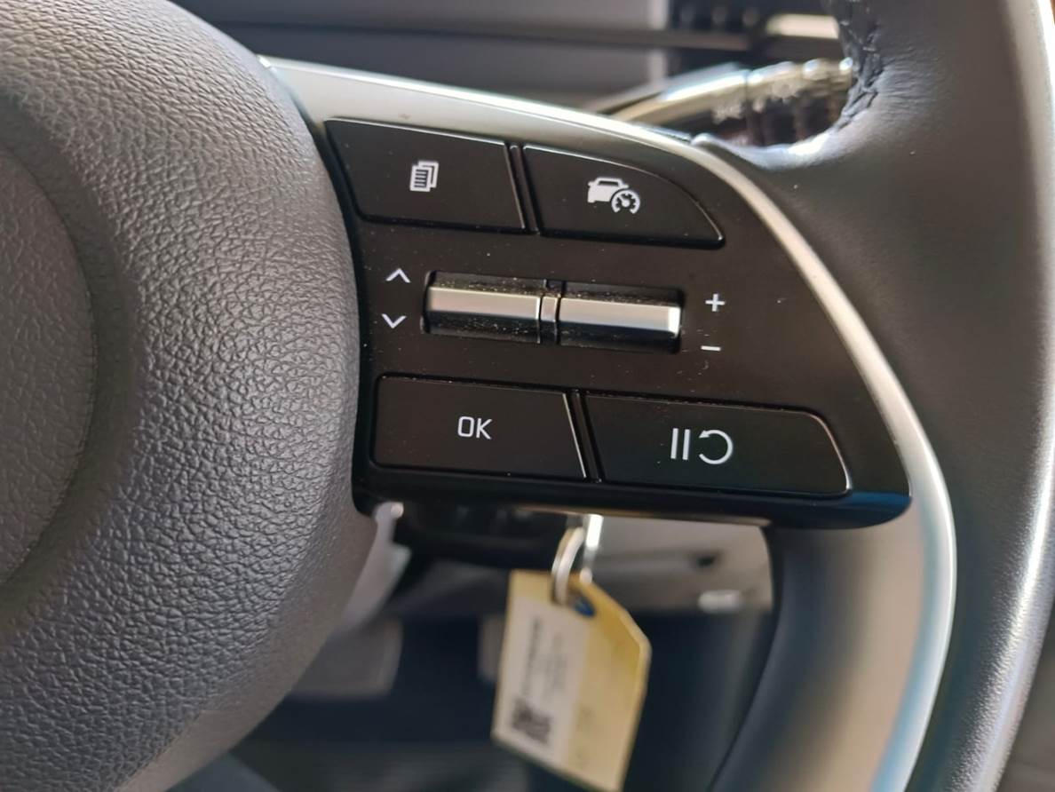2024 Hyundai Staria 2.2D Executive (9 Seater)