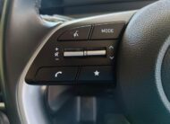 2024 Hyundai Staria 2.2D Executive (9 Seater)